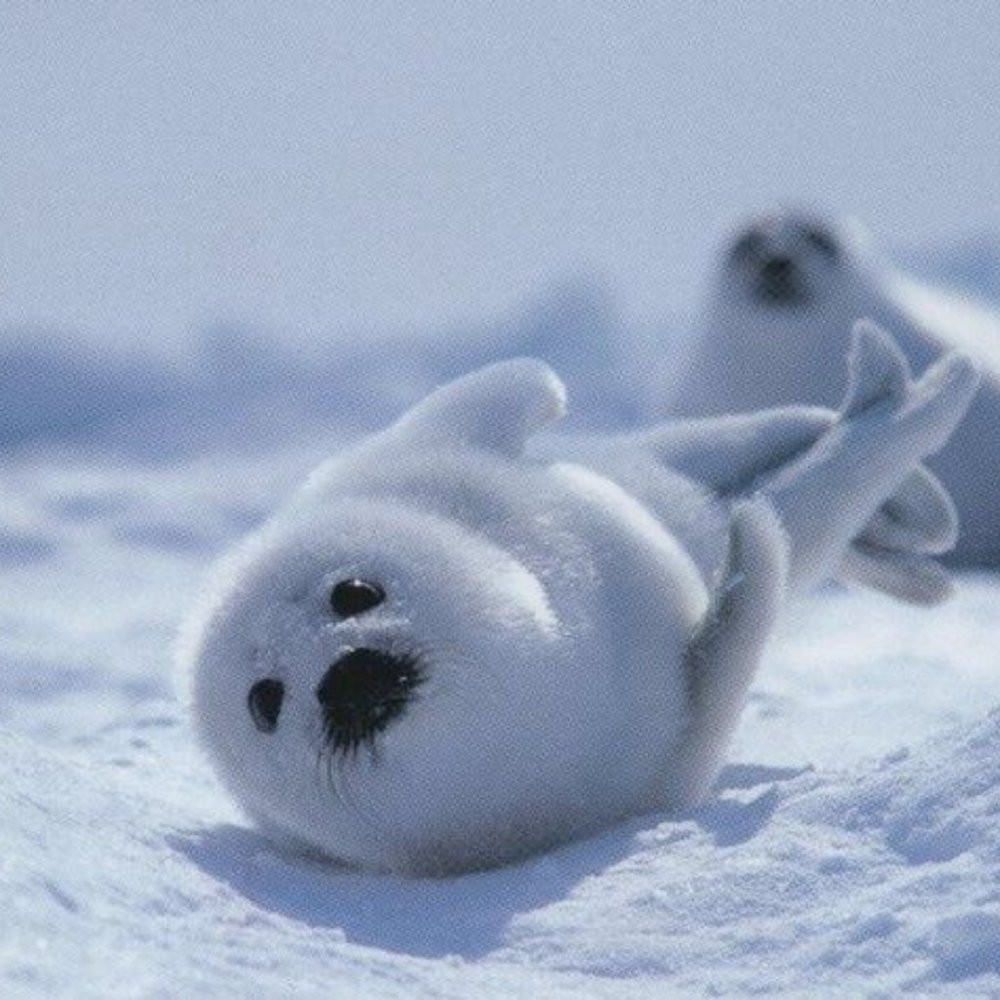 Hi! Check out my depop for my listings below!